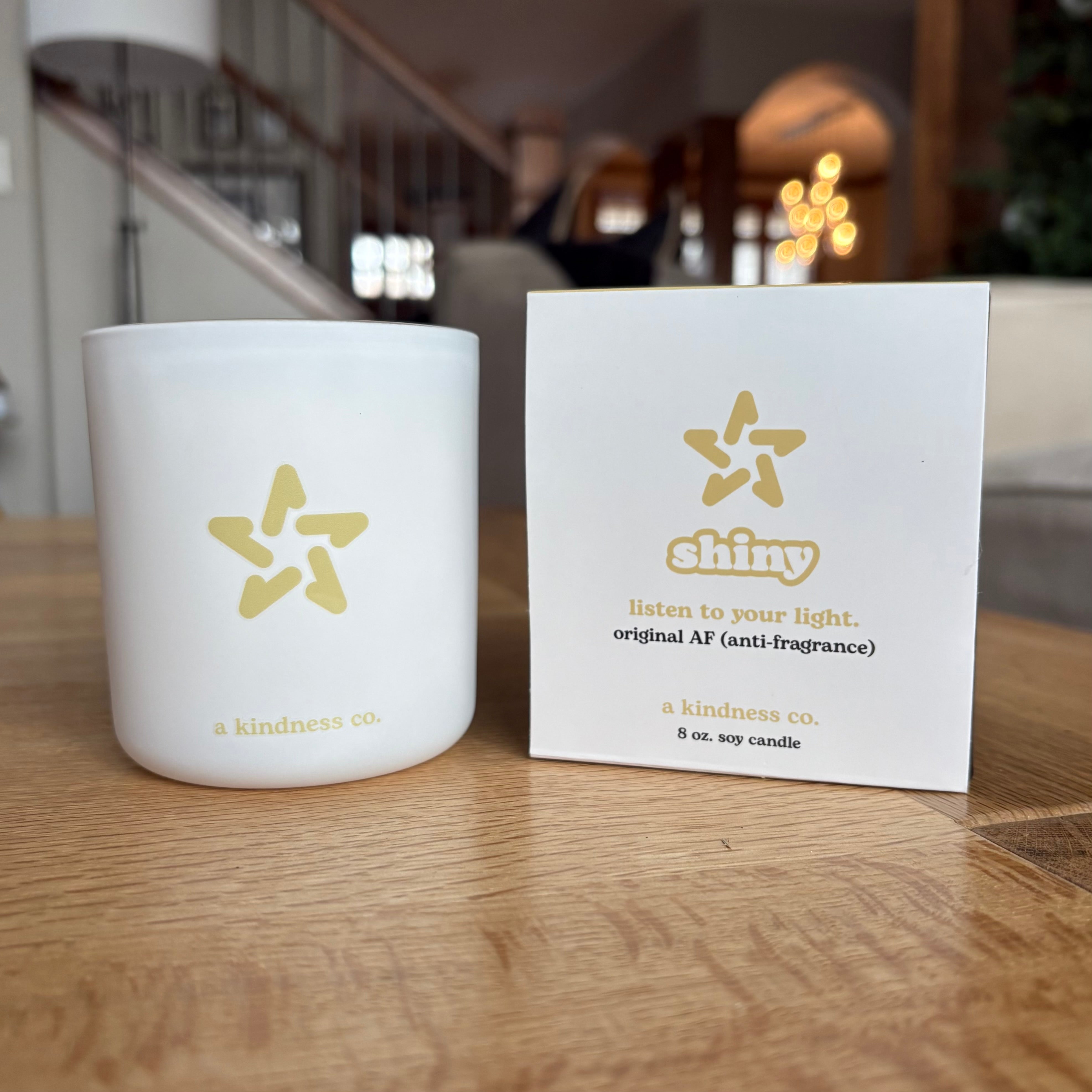 shiny 1-wick candle – A Kindness Co.